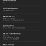 Android 10 Beta 4 for Exynos Galaxy S10 Plus One UI 2.0 beta 4 ZSK9 build-min