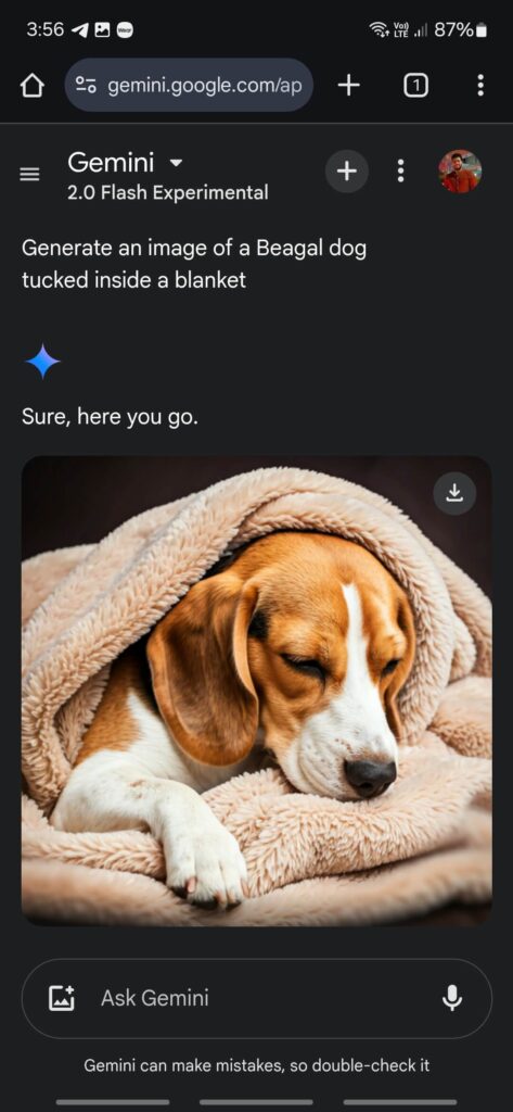 Gemini 2.0 Released! Here's How To Access 9 Screenshots Gemini 2.0 (3)